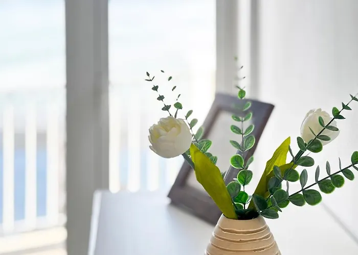 Alojamiento Sanxenxo Sanxenxo